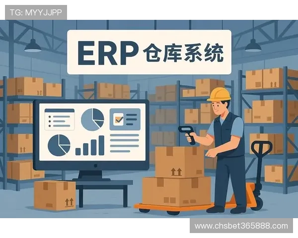 速发国际365，快速实现海外仓储全流程高效管理